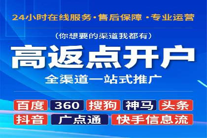 sem运营公司：效果为王的策略